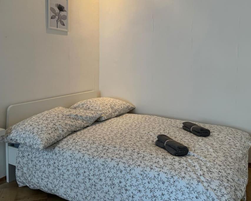 110 M2 Sunny Central Apartment Wien