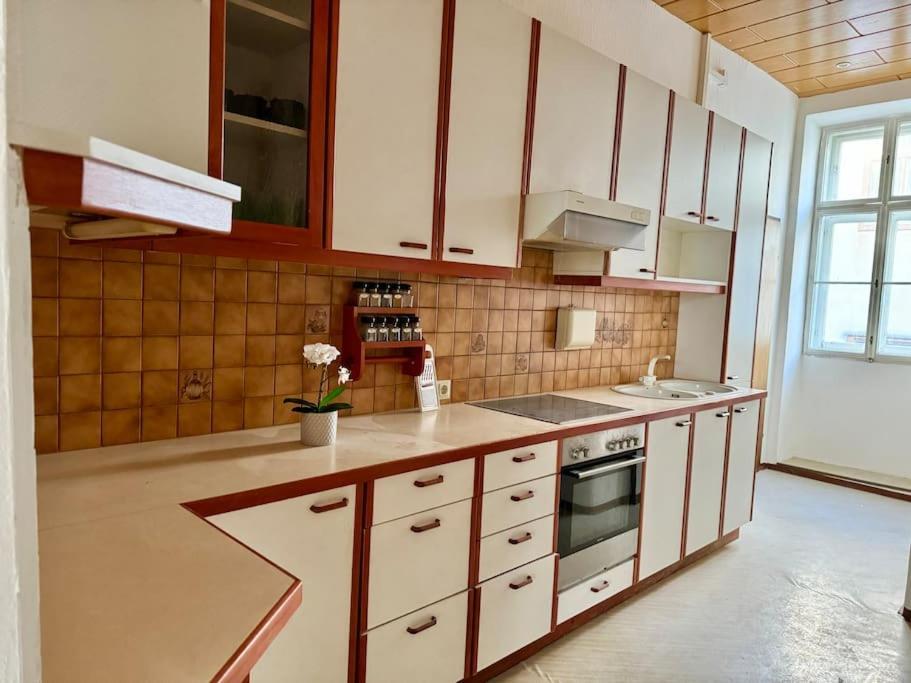 Apartment 110 M2 Sunny Central Wien