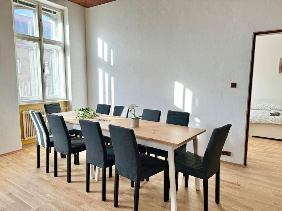 110 M2 Sunny Central Apartment Wien
